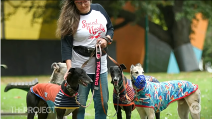 The Project - Julia Cockram, Gumtree Greys