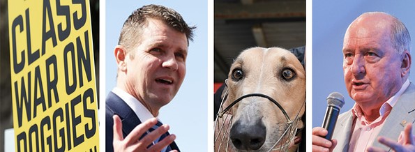 Mike Baird backflips on ban