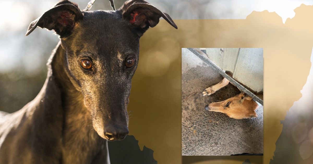 Web banner images (16)