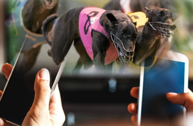 social-impaoct-about