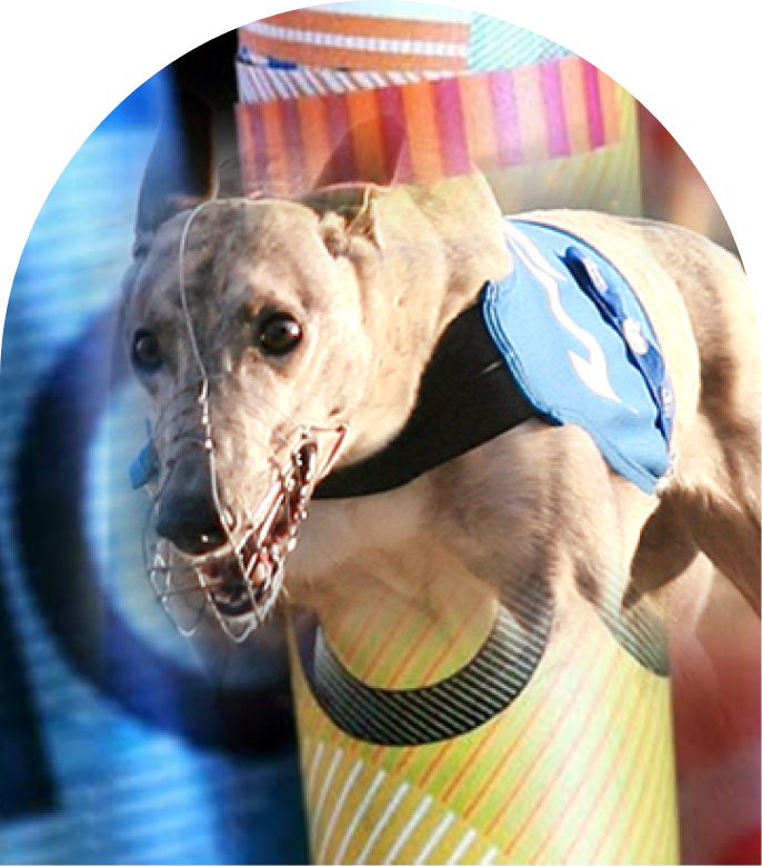 taxpayer-funding-hero