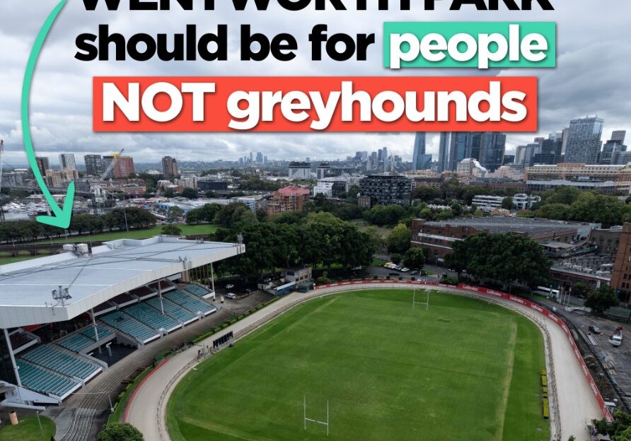 wentworth park for people